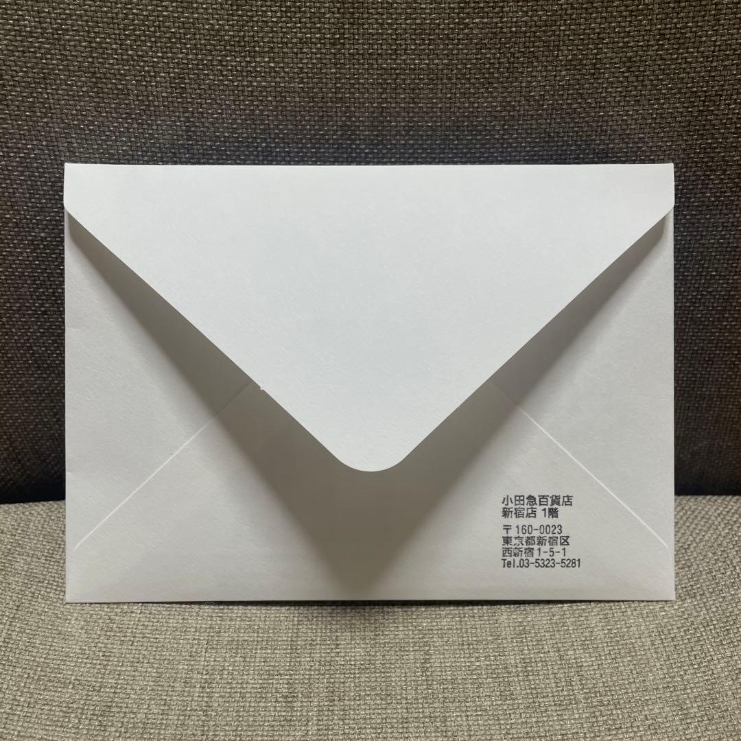 【ほぼ新品未使用】Matrix Vittore リング ➕ お手入れ用クロス