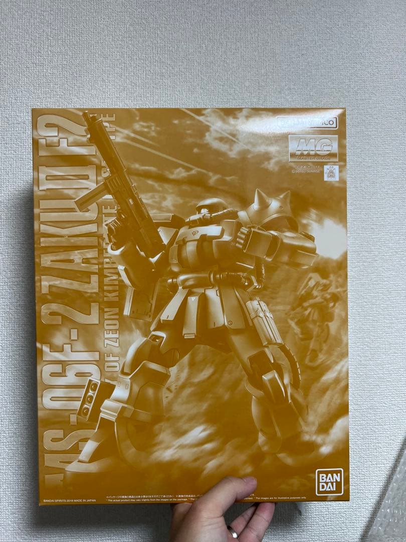 MG 1/100 ザクII F2型（キンバライト基地仕様）