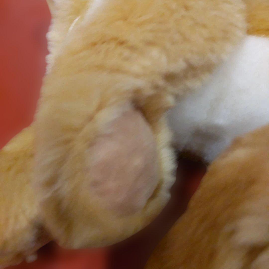 ライオンのレオ　シュタイフ