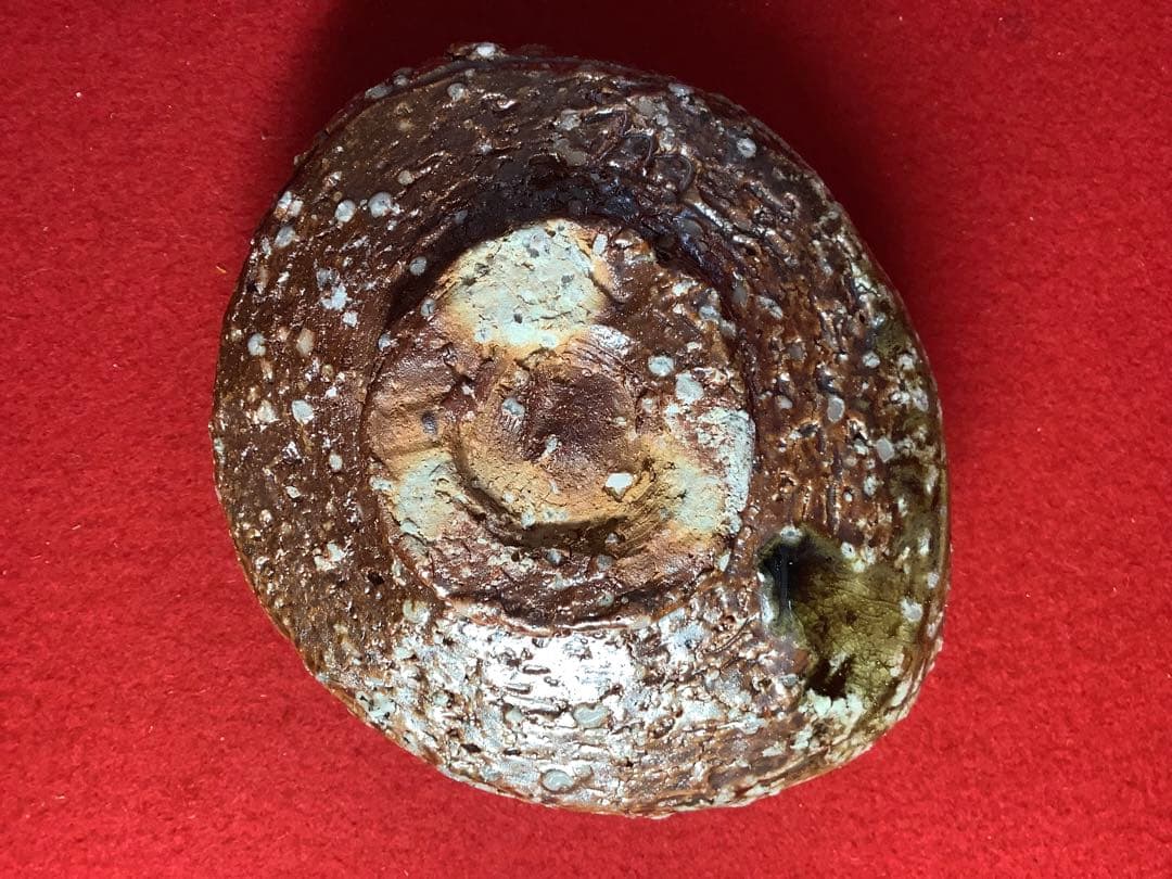 信楽茶碗　沓茶碗　太田造【新品未使用】