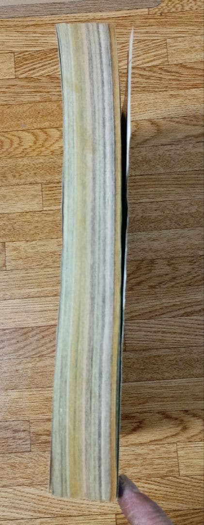 週刊少年ジャンプ 1989年 47号 ドラゴンボール 表紙・巻頭カラー