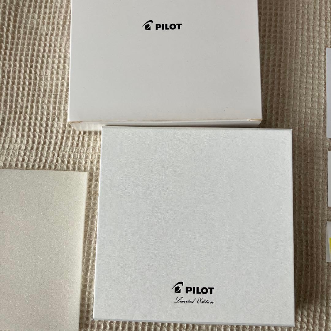 PILOT 限定 万年筆 ネットブラック（細字・F）
