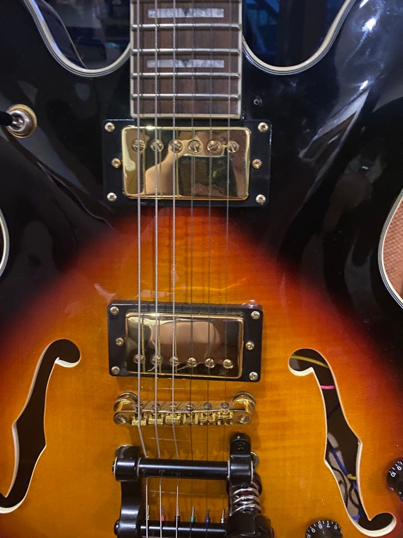 エレキギター 初心者にもオススメ PLAYTECH sa-500 custum