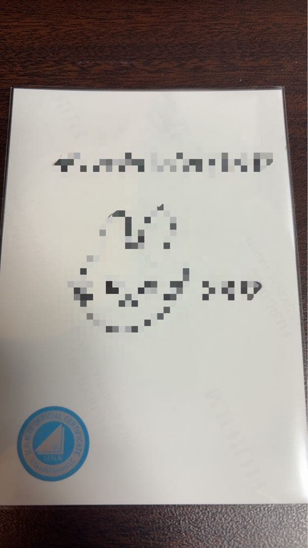 片山紗希 日向坂46 Happy majical サンタ 生写真 直筆 サイン