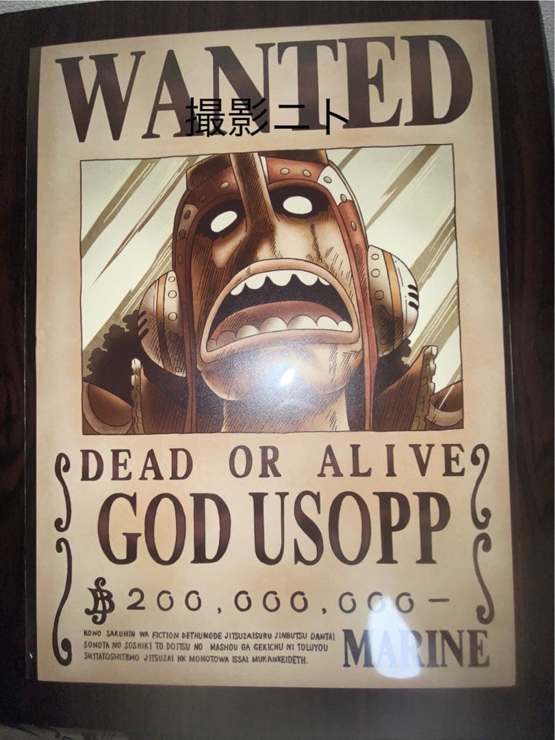 ワンピース　海軍公式手配書　麦わらの一味9枚　麦わらストア