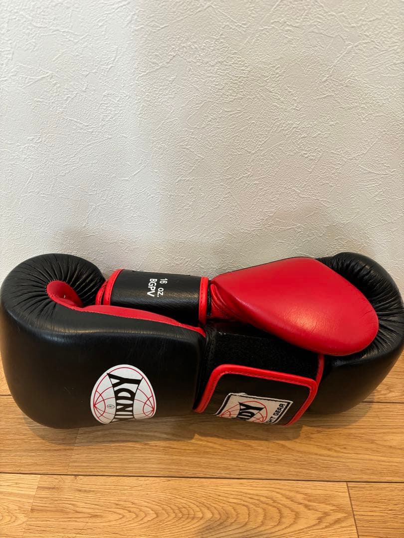 WINDY ボクシンググローブ 黒/赤