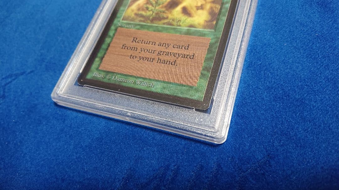 【PSA7 NM】MTG ベータ（β） 英語 新たな芽吹き 鑑定品