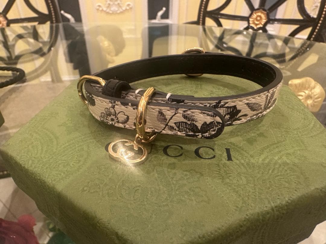 GUCCI グッチ ドッグ リード&カラー ２点セット 犬用 首輪