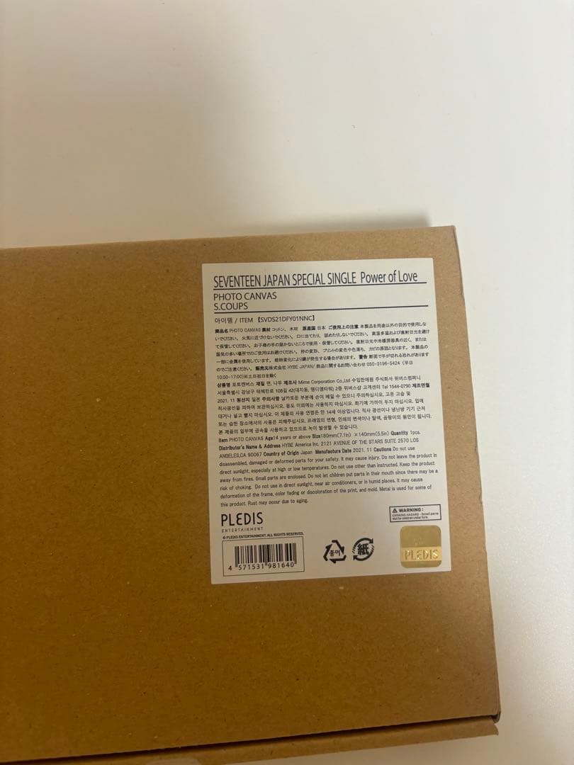 SEVENTEEN あいのちから　フォトキャンバス　スンチョル
