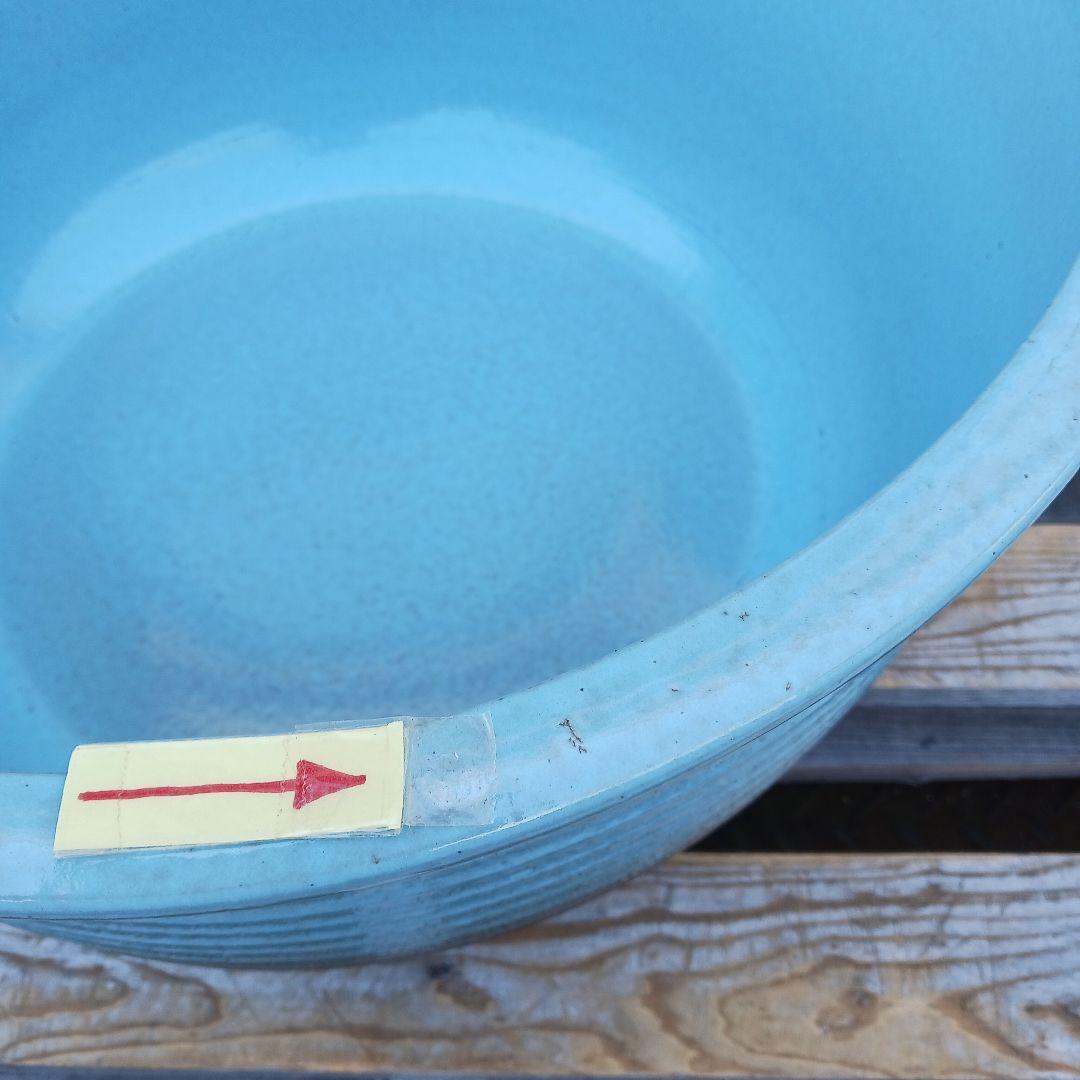 新品　特大50　陶器　睡蓮鉢　メダカ鉢　難有　ラリマーブルー　スカイブルーLWC