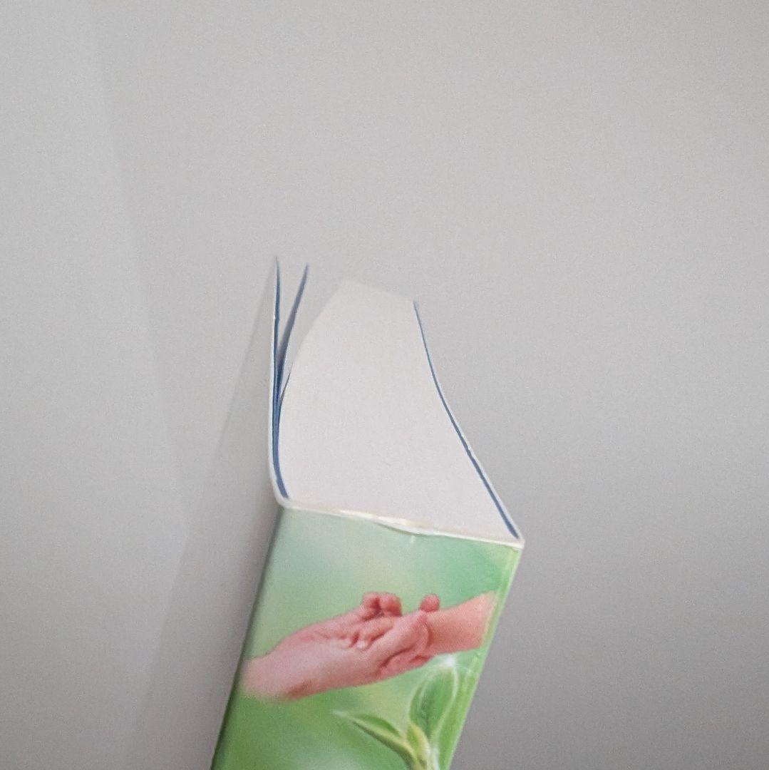 ESDM 【自閉スペクトラム症超早期介入法／服巻智子 】