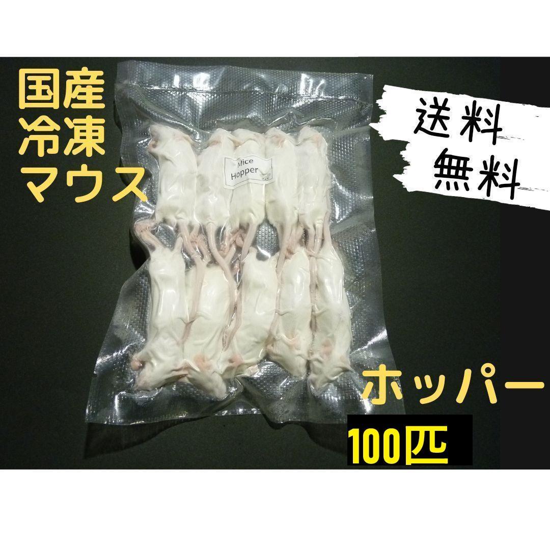 国産冷凍マウス ホッパー 100匹 (送料無料一部地域発送不可)