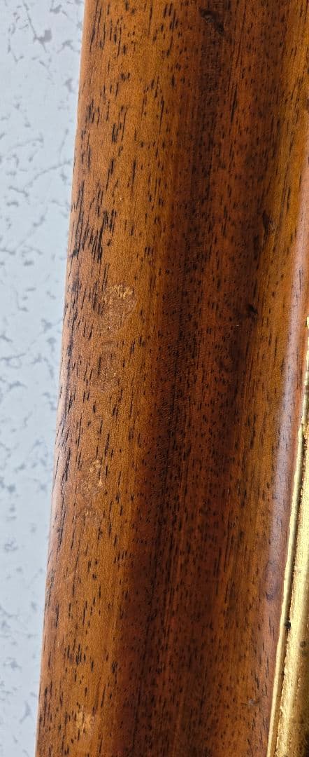 ユリの水彩画 1864年制作