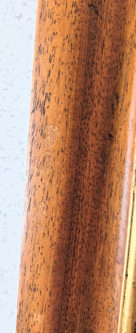 ユリの水彩画 1864年制作