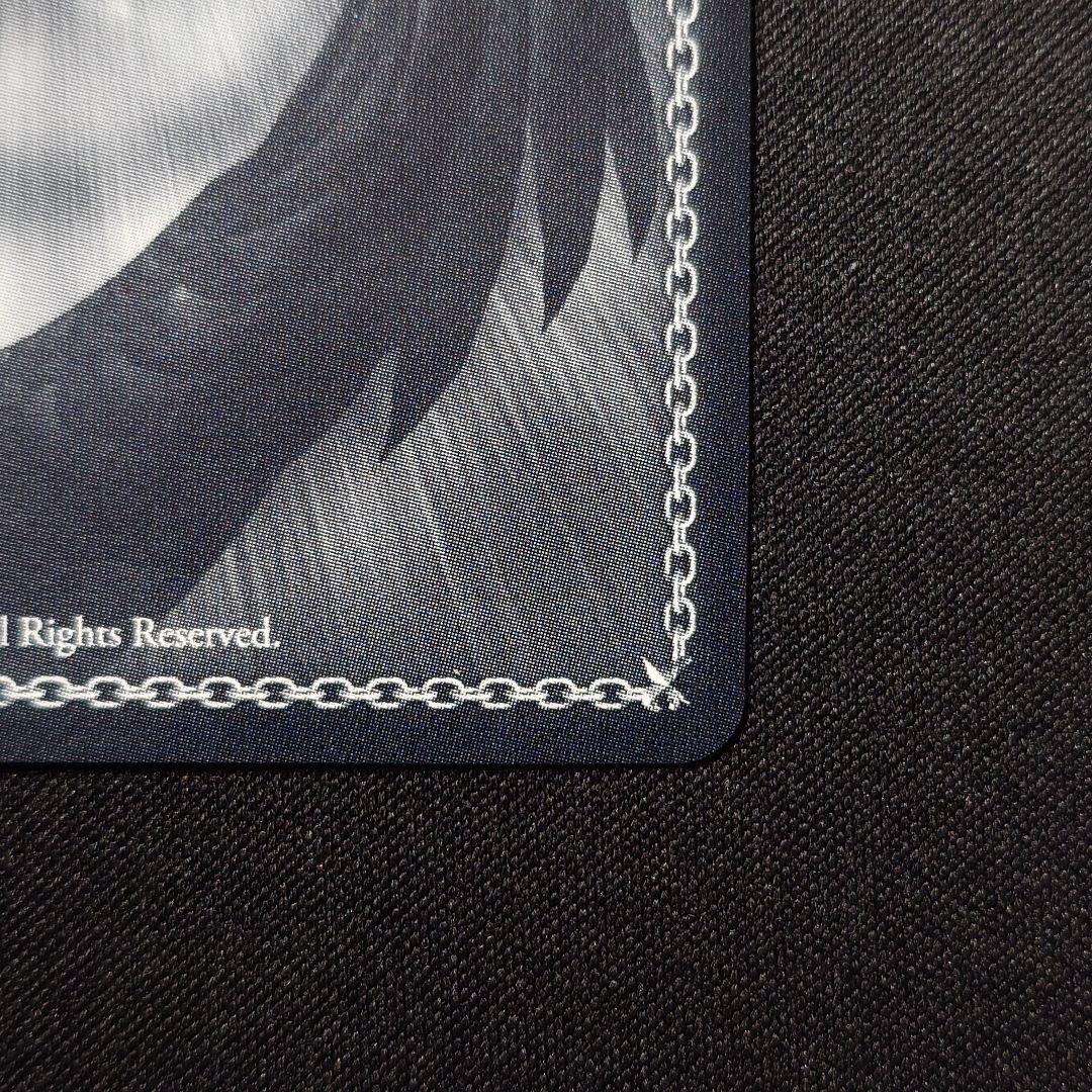 未来へ一緒に 雪花ラミィ SSP