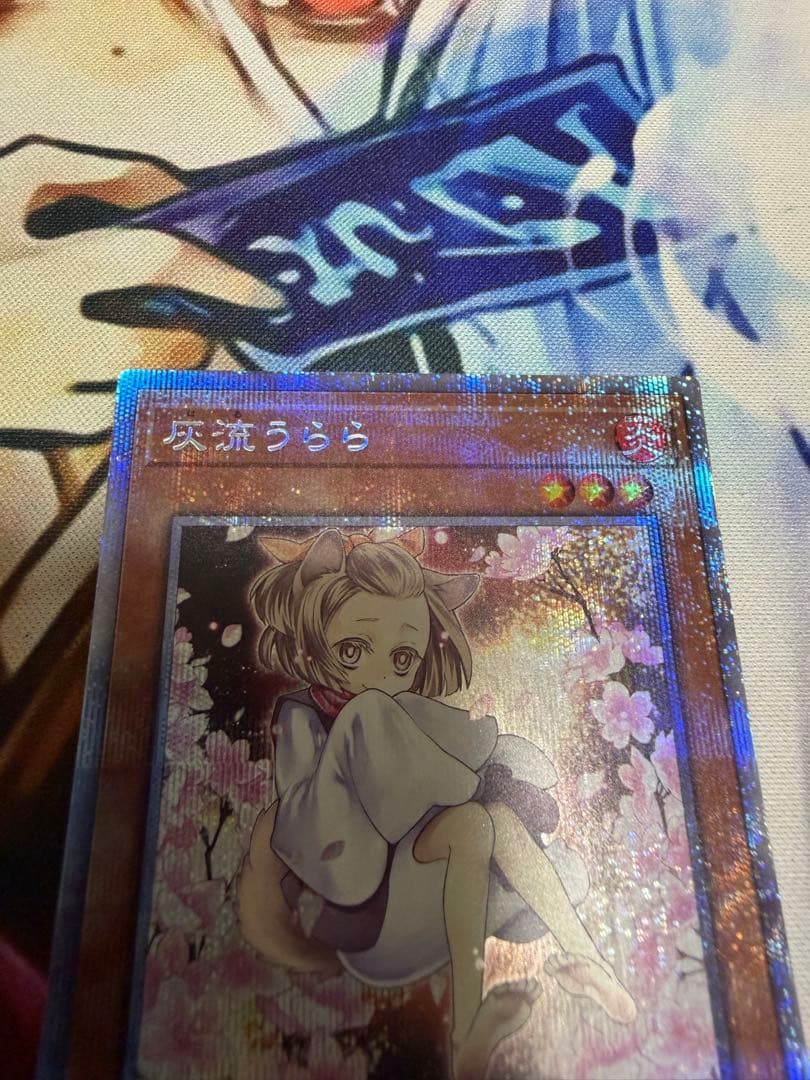 遊戯王 灰流うらら　はるうらら　絵違い プリズマ　プリズマティックシークレット