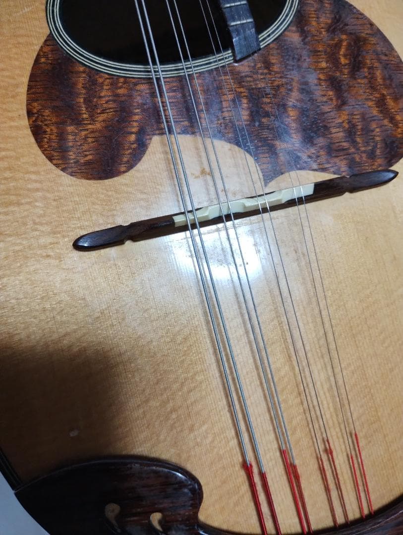 スズキ　マンドリン M-30