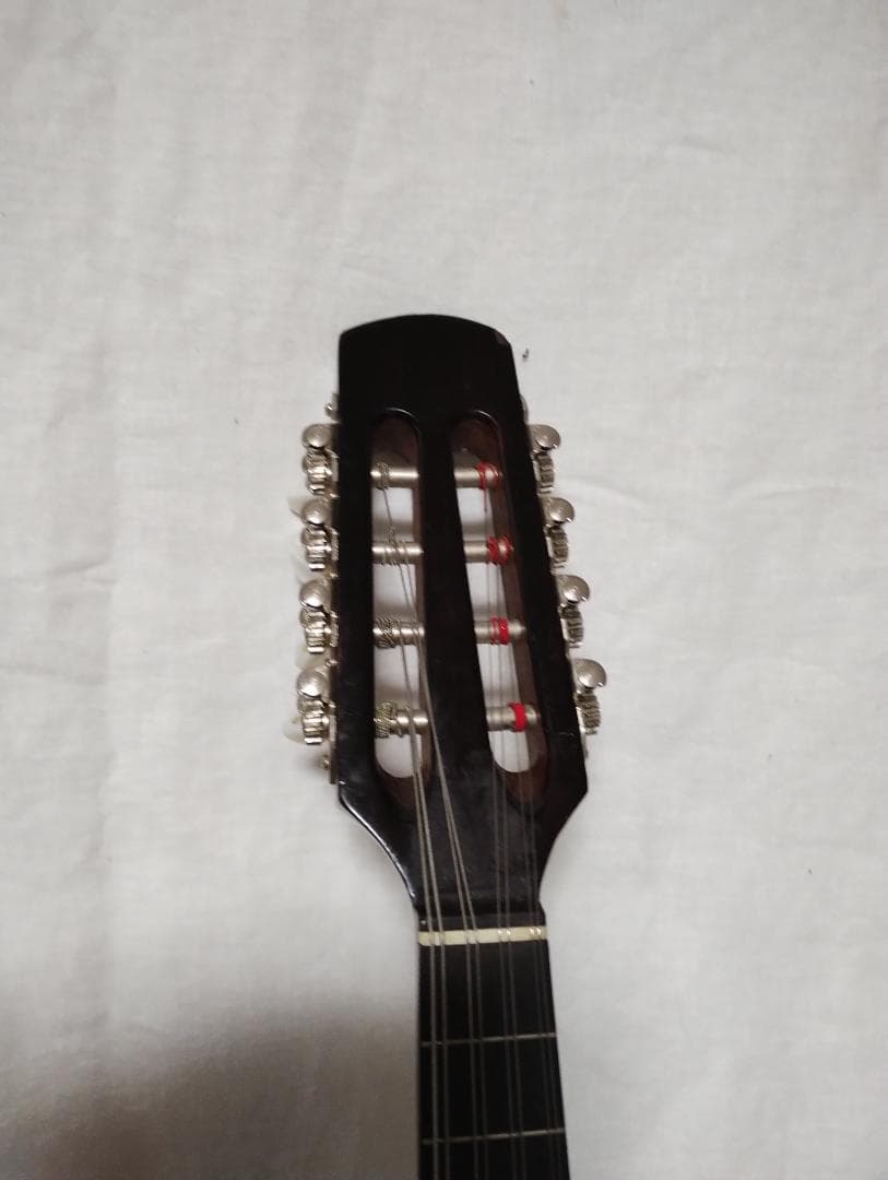 スズキ　マンドリン M-30