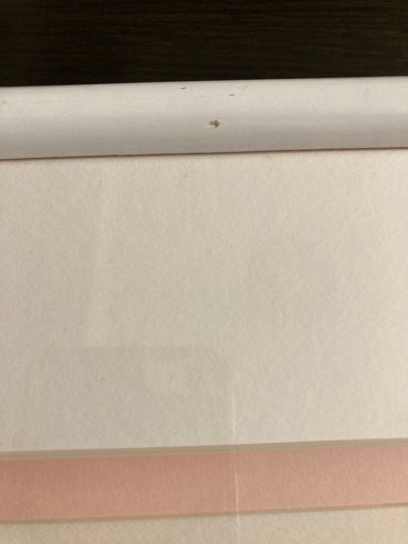 ジェームス・リジィ OUTDOOR LUNCHEN