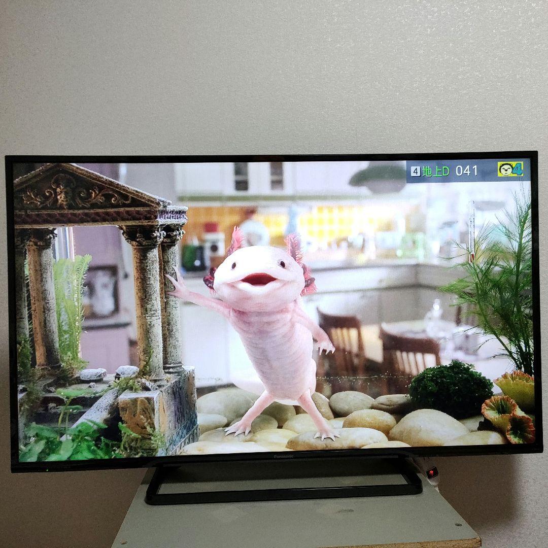 Panasonic[2016年製品] TH49D305