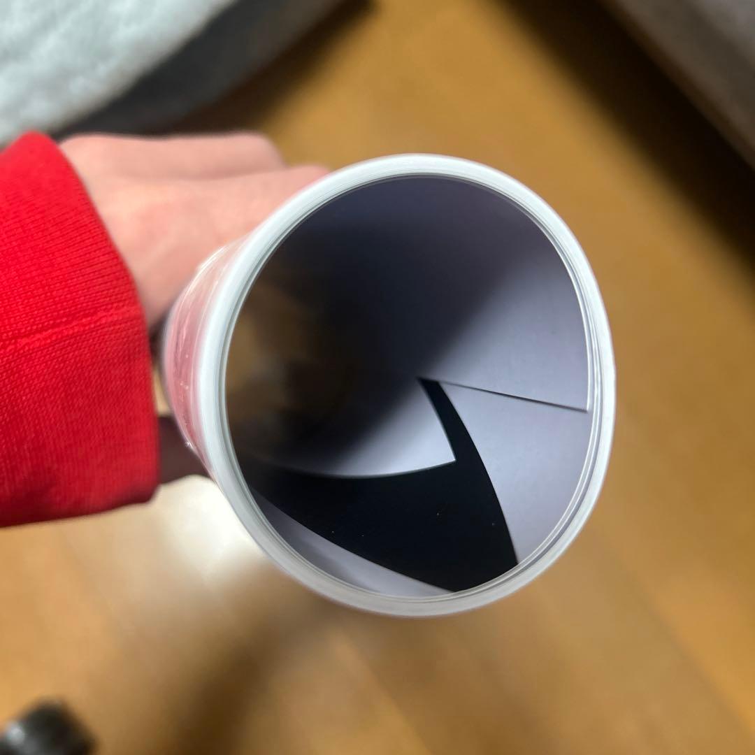 【新品】武田玲奈　等身大ポスター 2種セット