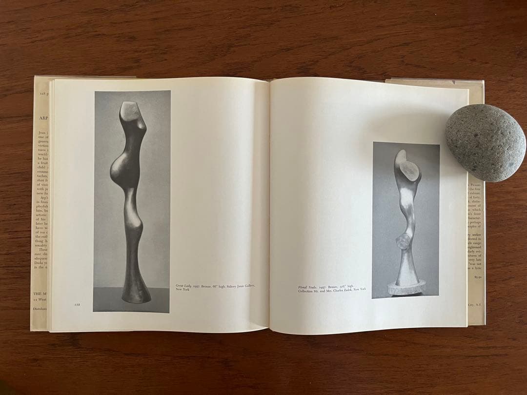 芸術写真 arp / The Museum of Modern Art