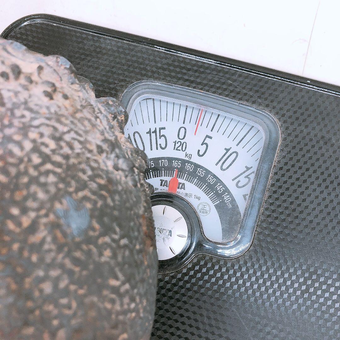 【要確認】日本亀文 鉄瓶 銅蓋 動物モチーフ 重さ約2.5kg アンティーク