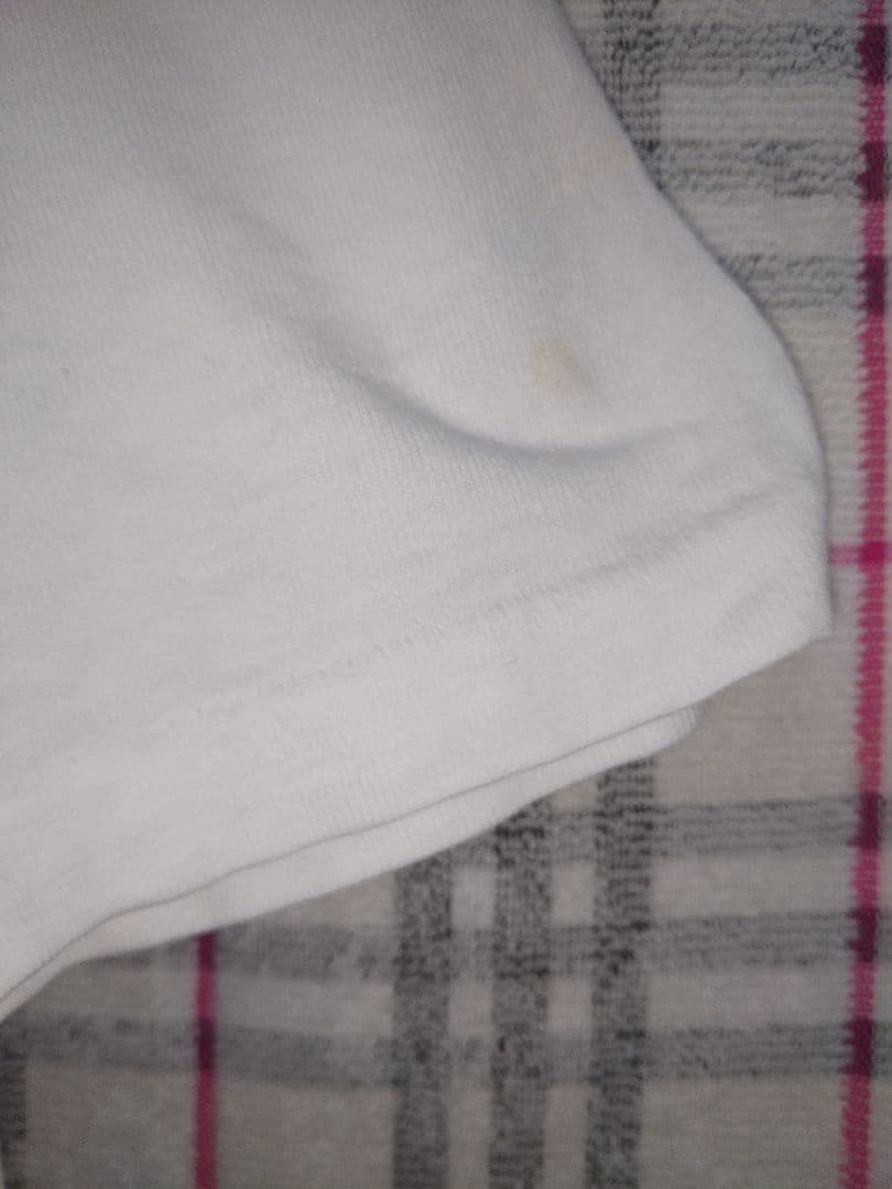 チャンピオンボディー　グーフィープリントティーシャツ