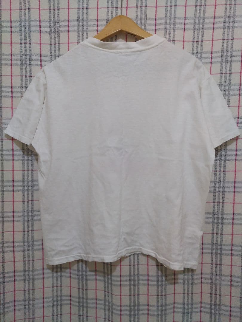 チャンピオンボディー　グーフィープリントティーシャツ