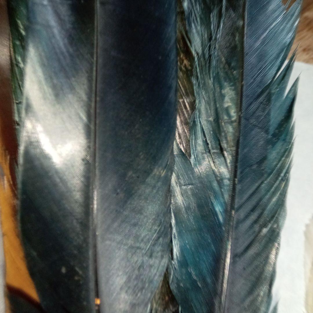 茶道具　羽箒3本セット