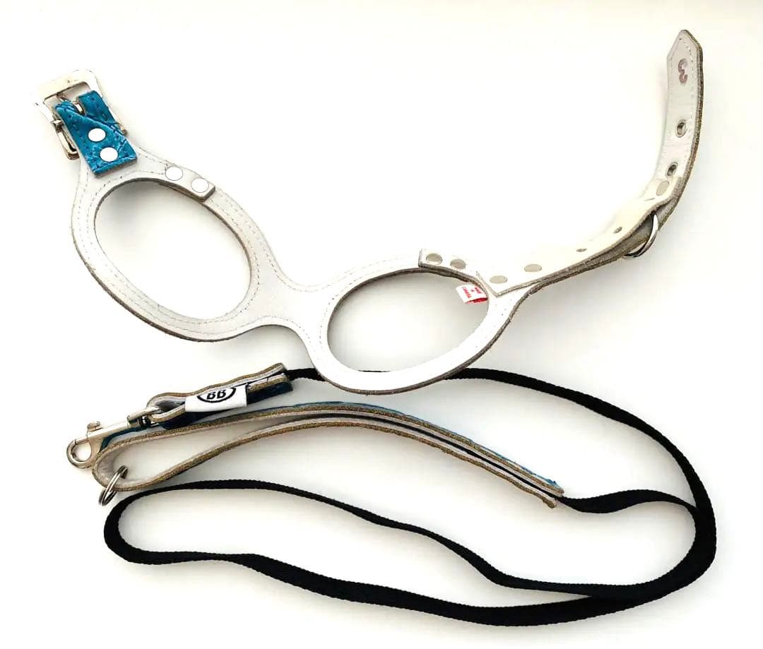 バディーベルト ブルーグリーン 3号 リードSサイズ 青色