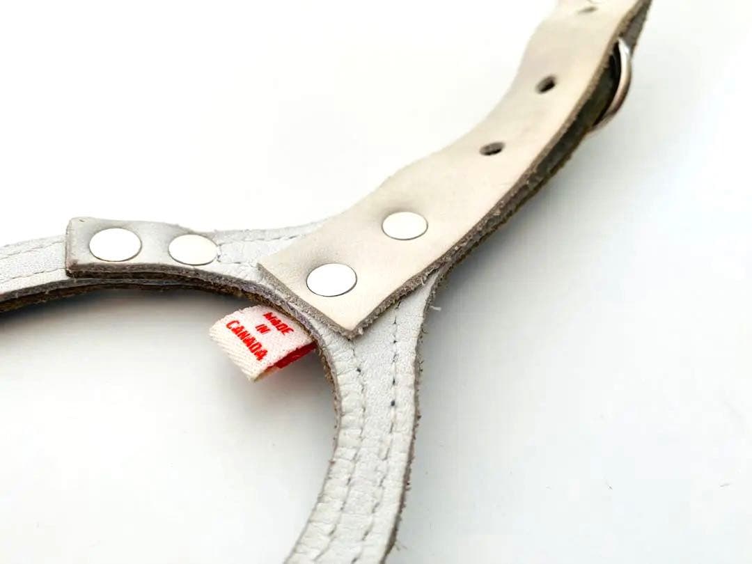 バディーベルト ブルーグリーン 3号 リードSサイズ 青色