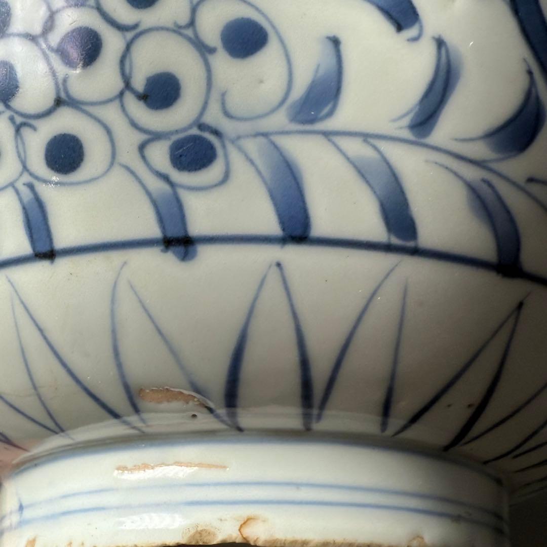 古伊万里　染付牡丹唐草文鉢　1600年代後半　薄造　上品な呉須　器を楽しむ