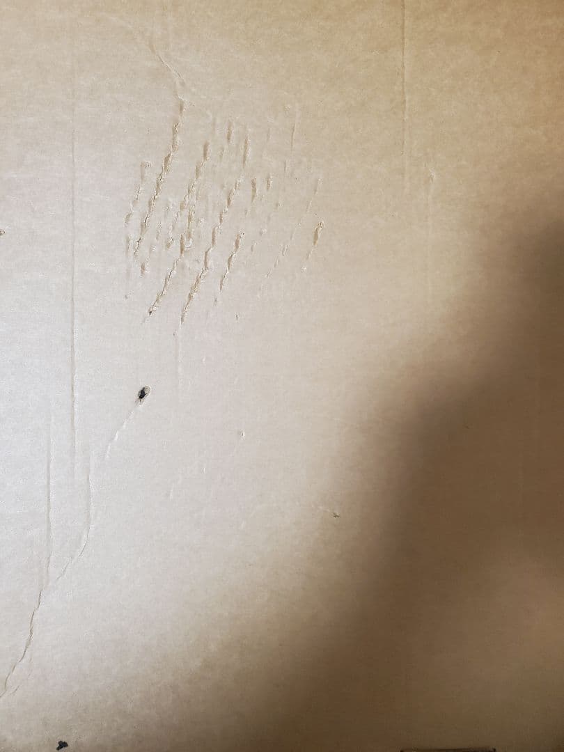 ユミアのアトリエ　店舗特典