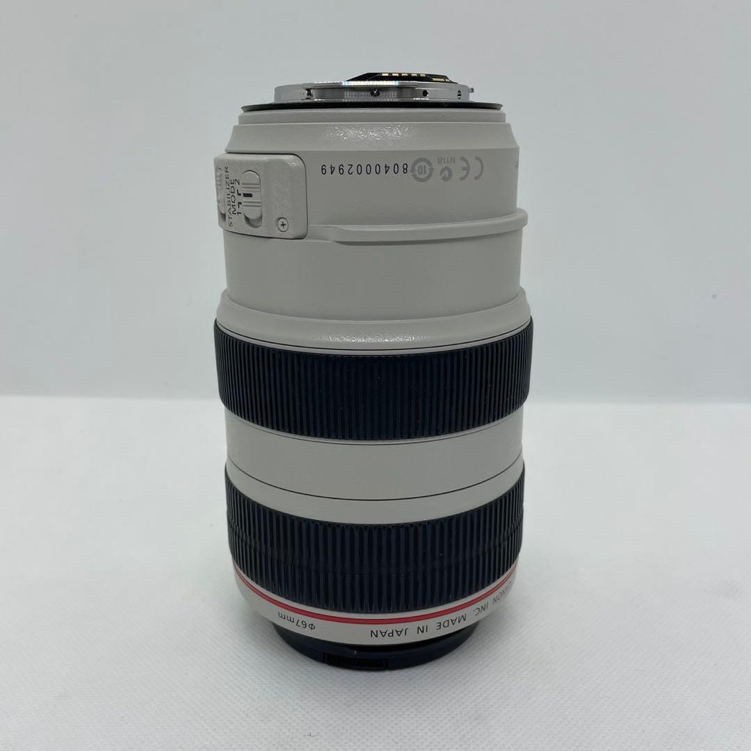 c*o様 Canon EF 70-300mm f/4-5.6 L IS USM