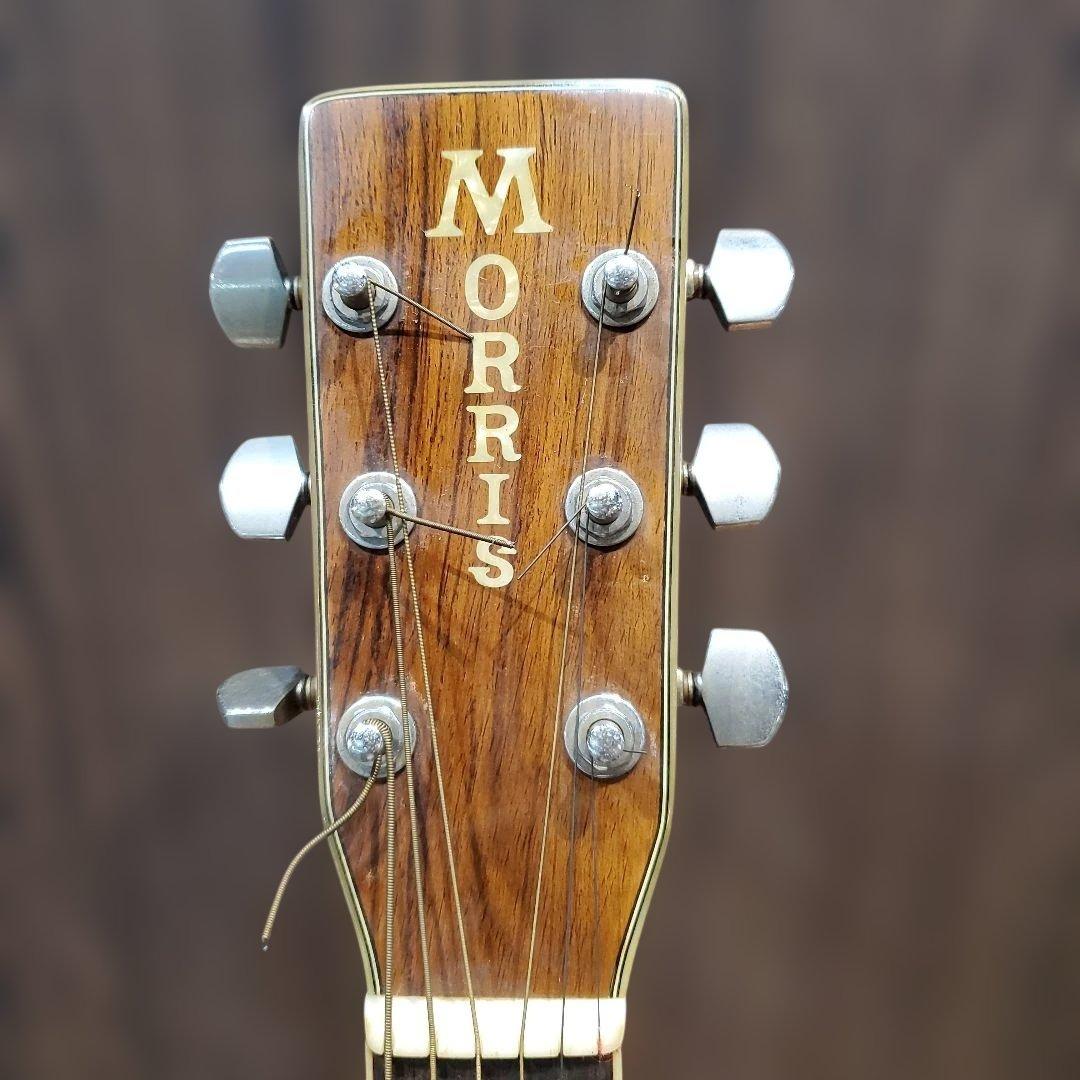 Morris W-40 アコースティックギター