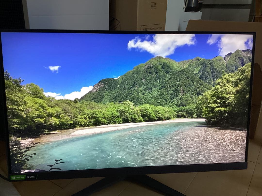 LG ゲーミングモニター 25GR75 24.5インチIPS (24年4月購入)