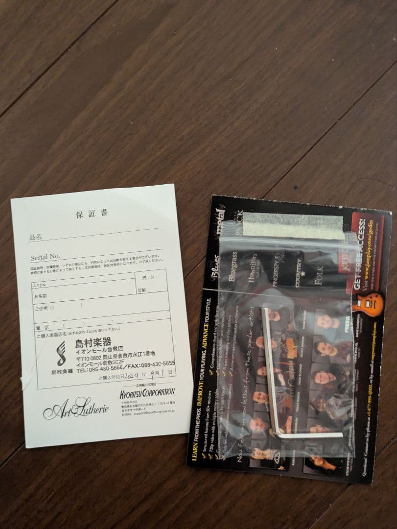 ギター Art&Lutherie