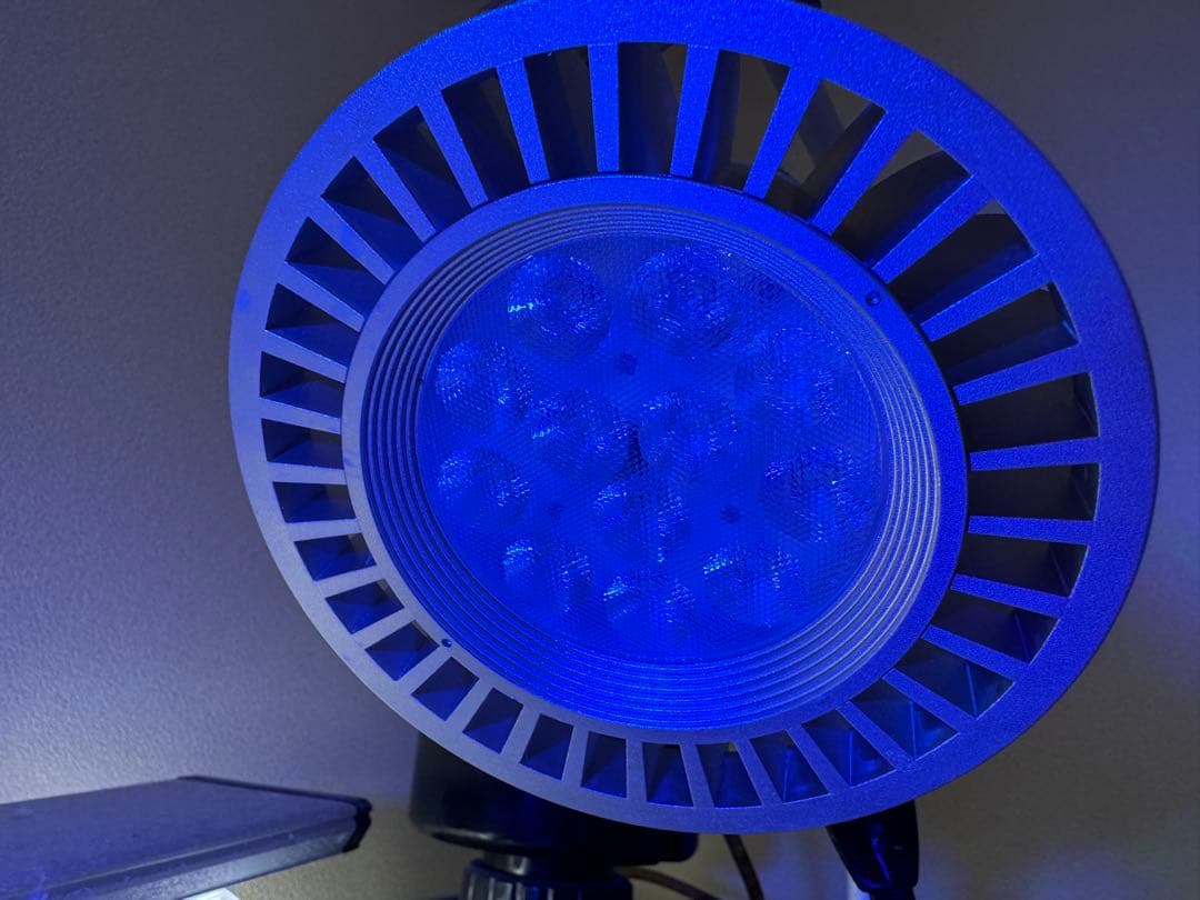 2個セット　ボルクスジャパン　グラッシーレディオ　RX122DP