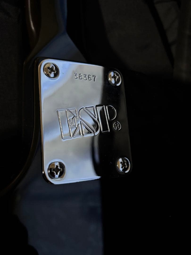 ESP カスタムオーダー　レスポールエレキギター