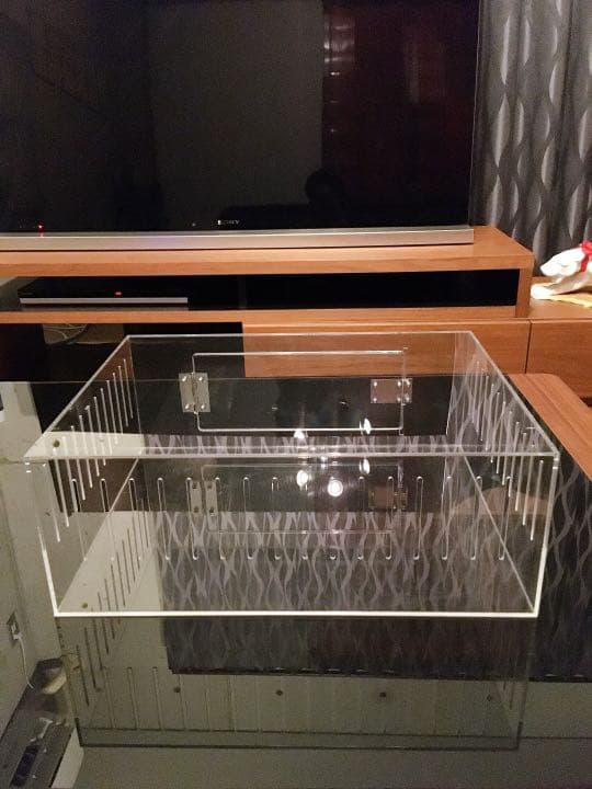 爬虫類ゲージ アクリルゲージ 【 No.2 】