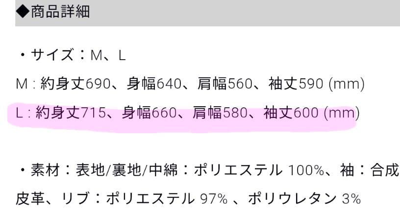 DXTEEN　ラポスタ2025　スタジャンLサイズ
