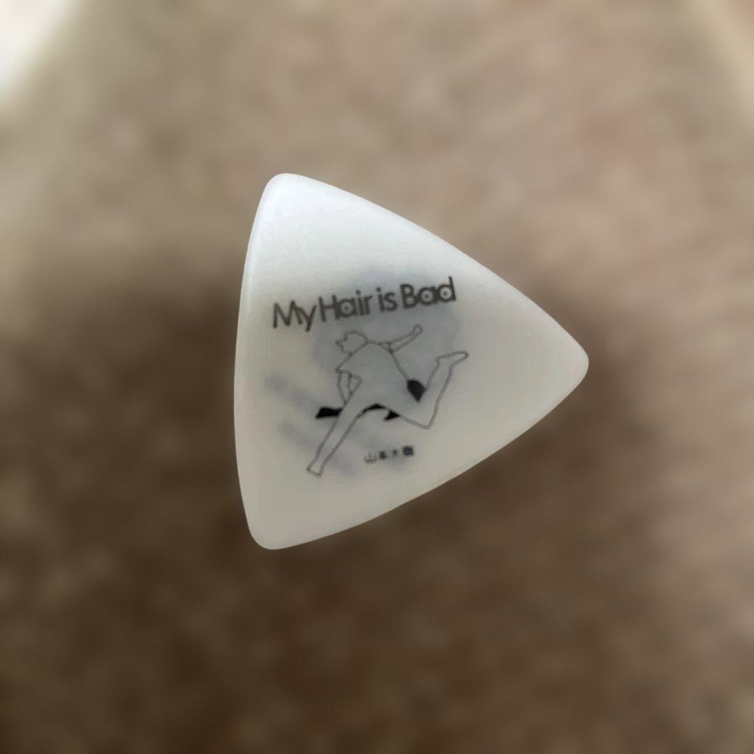 My Hair is Bad ピック