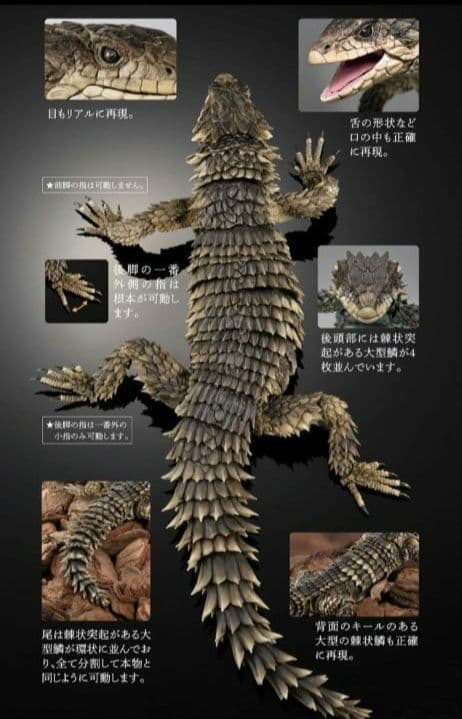 新品輸送箱未開封 いきもの大図鑑アルティメット ナイルワニ＆オオヨロイトカゲ