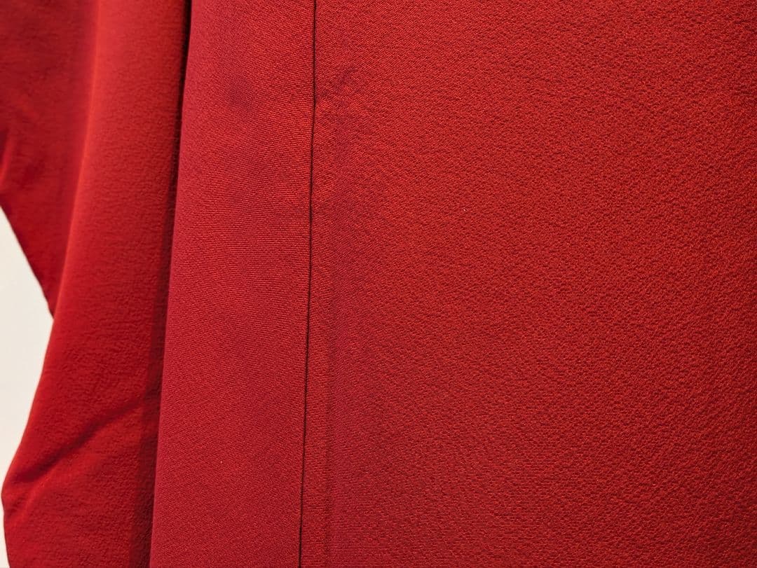 振袖フルセット 身丈169裄70.5 ロング丈 赤 色無地振袖 逸品 成人式