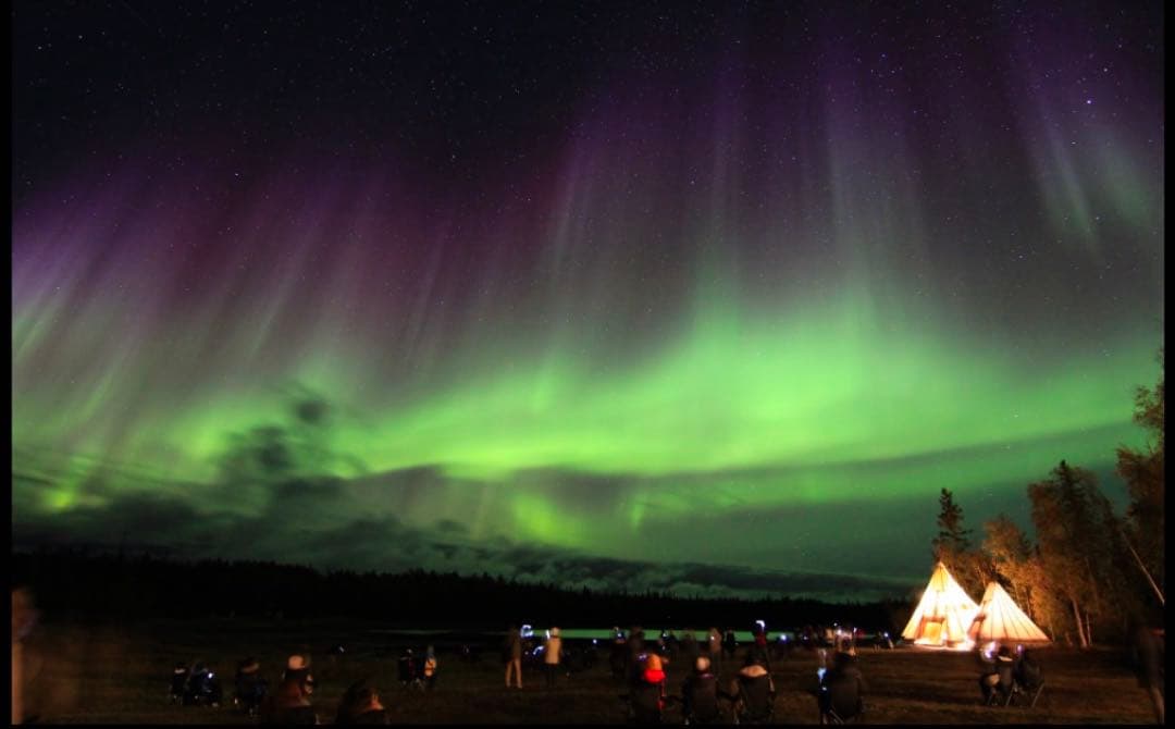 Tokina 超広角ズームレンズ AT-X 11-20 F2.8 PRO DX