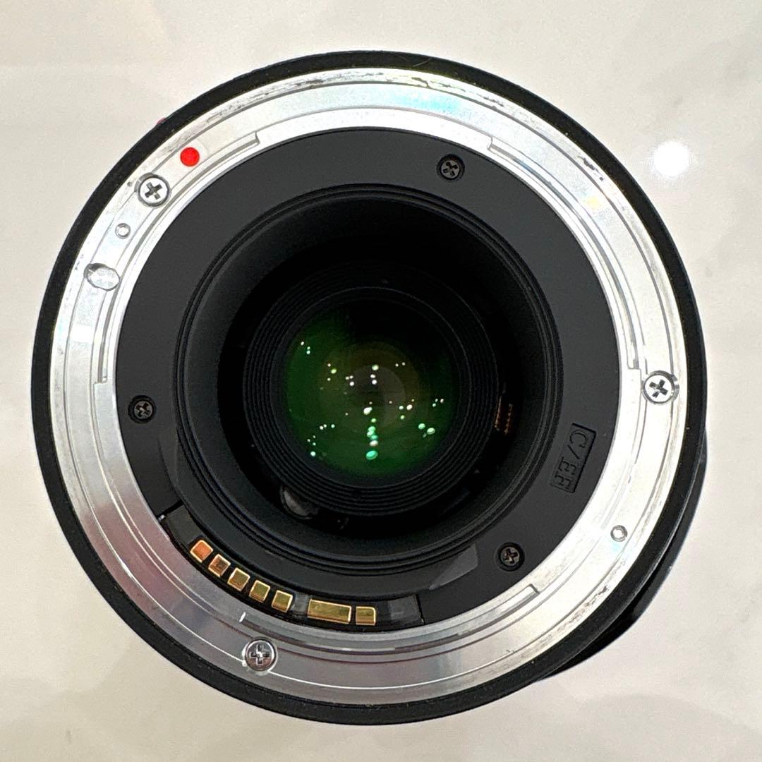 Tokina 超広角ズームレンズ AT-X 11-20 F2.8 PRO DX