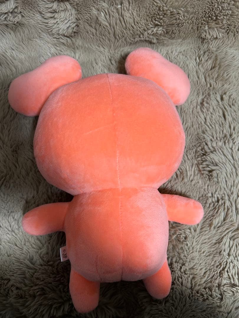 【twice】ラブリーぬいぐるみ + LIVEアップグレード特典