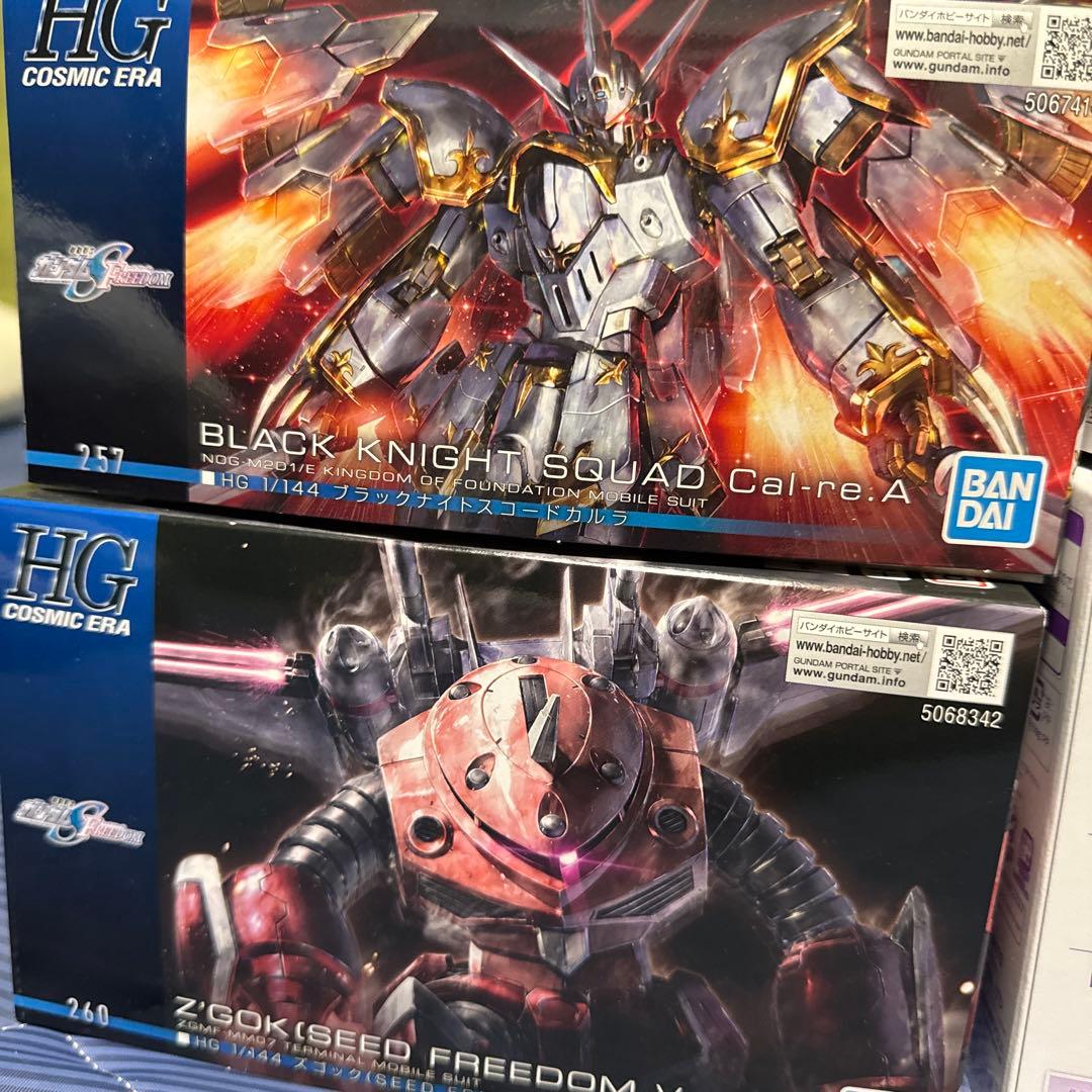 HG RG ガンプラセット ガンプラ 引退品 まとめ売り