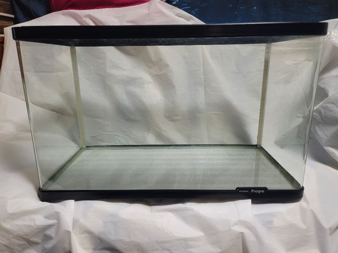 KOTOBUKI Progre 曲げガラス水槽60